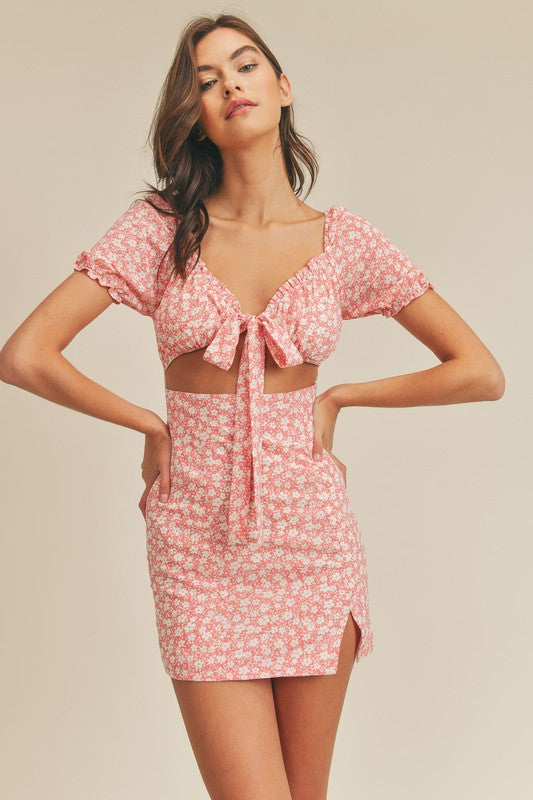 EMILY MINI DRESS – Pink Carnation Shop
